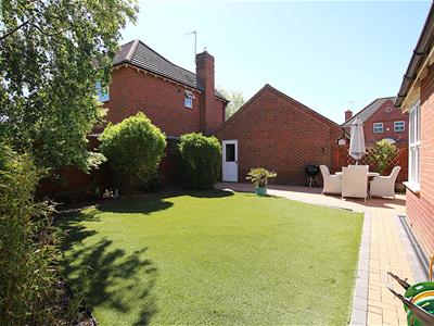 Picture 27